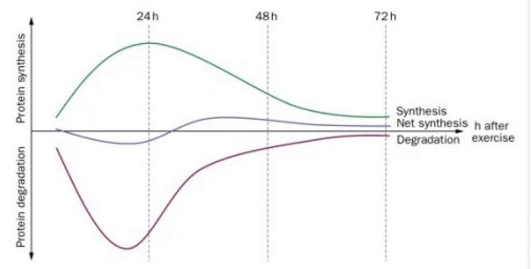 Kinematics Blog How Often Should You Train Osteo Richmond 