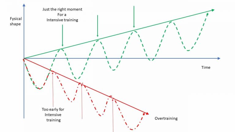 Kinematics | Blog | How Often Should You Train | Osteo Richmond